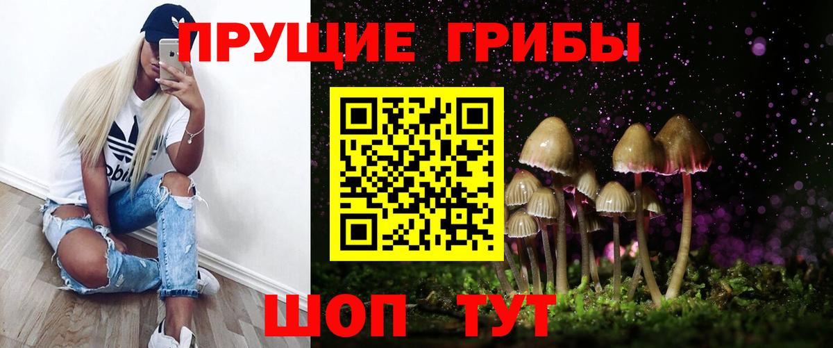Псилоцибиновые грибы Psilocybine cubensis  Вход с VPN  Псилоцибиновые грибы прущие грибы  купить  цена  Железногорск 