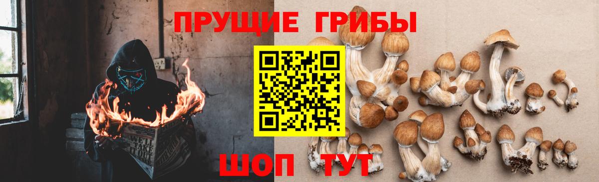 Псилоцибиновые грибы ЛСД Железногорск